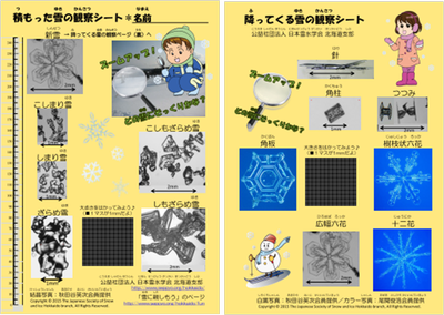 雪の観察シート_画像