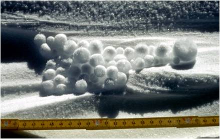 南極ドームふじで発見された雪まりも